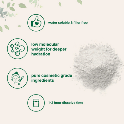 PureHydra™ Hyaluronic Acid Powder